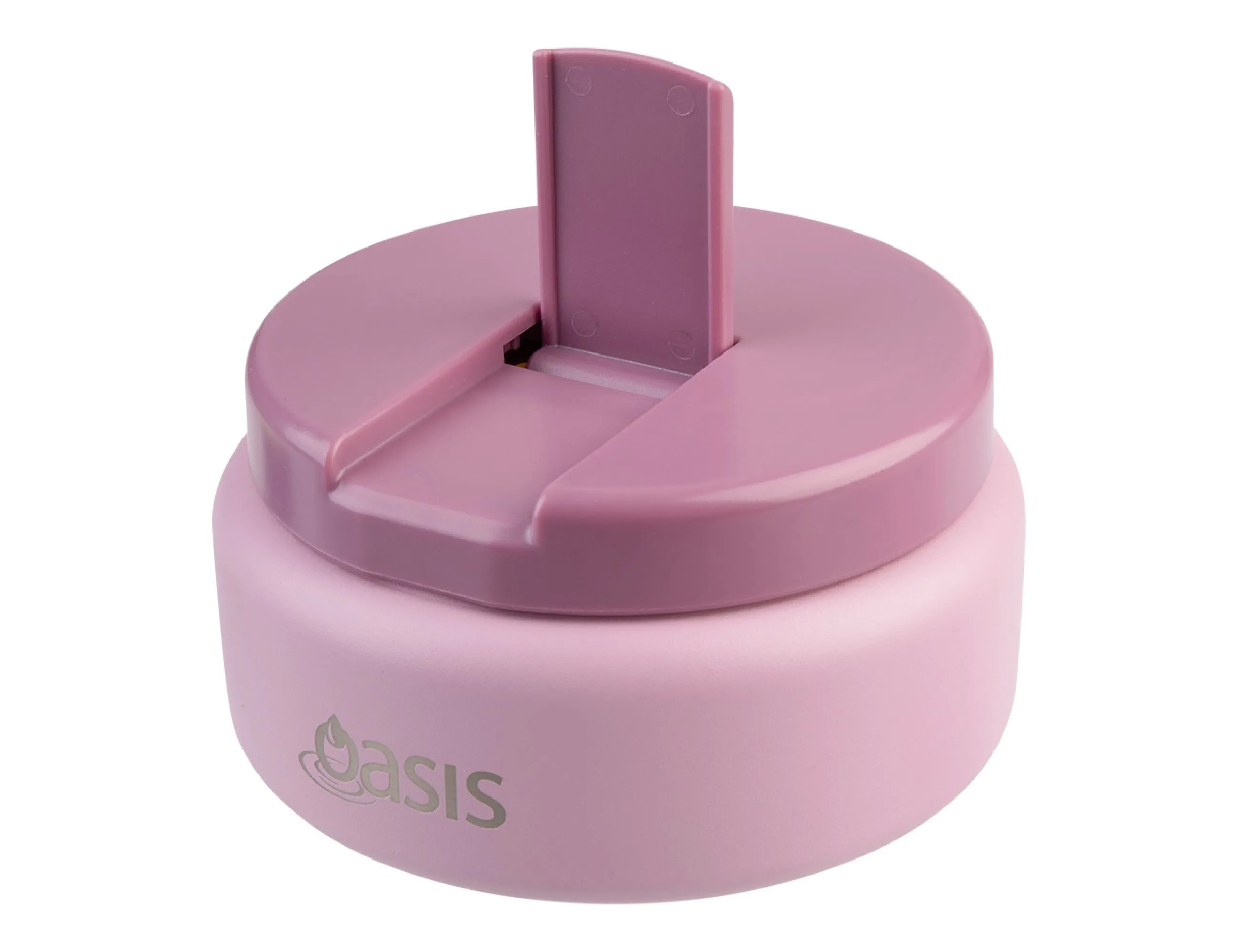 Oasis 230ml Quick Release Insulated Food Flask